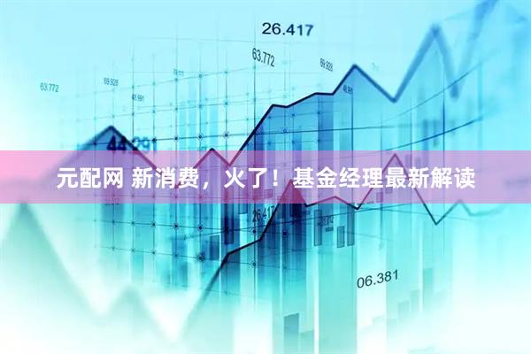 元配网 新消费，火了！基金经理最新解读