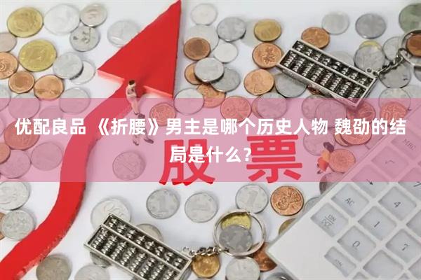 优配良品 《折腰》男主是哪个历史人物 魏劭的结局是什么？