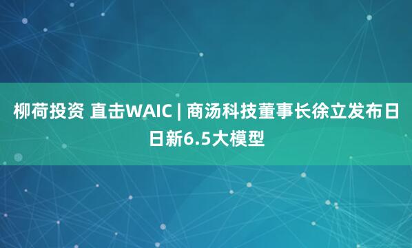 柳荷投资 直击WAIC | 商汤科技董事长徐立发布日日新6.5大模型
