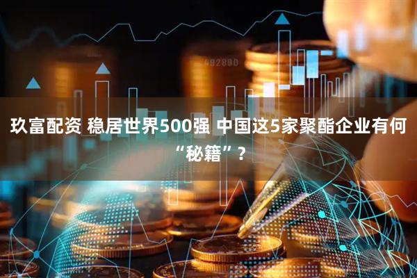 玖富配资 稳居世界500强 中国这5家聚酯企业有何“秘籍”？