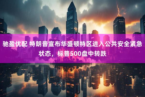 驰盈优配 特朗普宣布华盛顿特区进入公共安全紧急状态，标普500盘中转跌