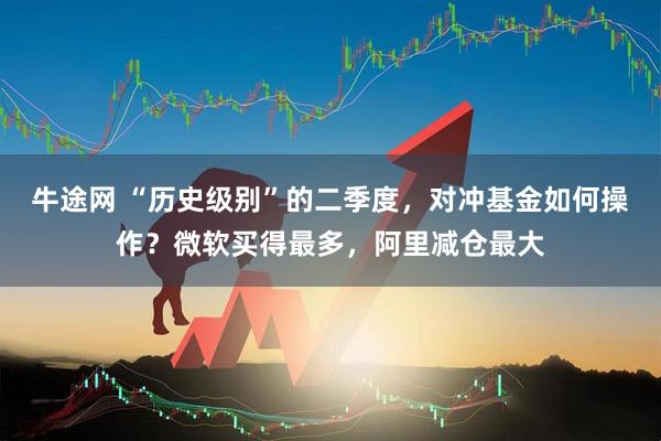牛途网 “历史级别”的二季度，对冲基金如何操作？微软买得最多，阿里减仓最大