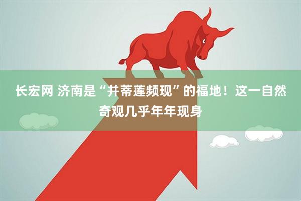 长宏网 济南是“并蒂莲频现”的福地！这一自然奇观几乎年年现身