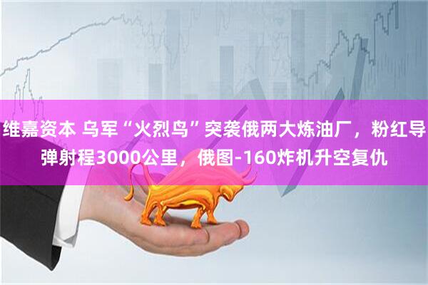 维嘉资本 乌军“火烈鸟”突袭俄两大炼油厂，粉红导弹射程3000公里，俄图-160炸机升空复仇