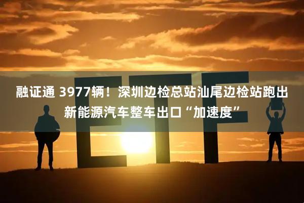 融证通 3977辆！深圳边检总站汕尾边检站跑出新能源汽车整车出口“加速度”