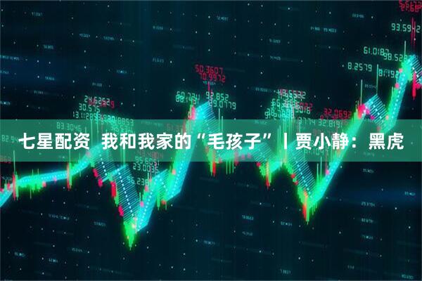 七星配资  我和我家的“毛孩子”丨贾小静：黑虎